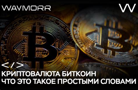 казино принимающие биткоин|Что такое биткоин, криптовалюта и в чем их суть.